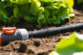Cílené zavlažování řádků rostlin s úsporou vody